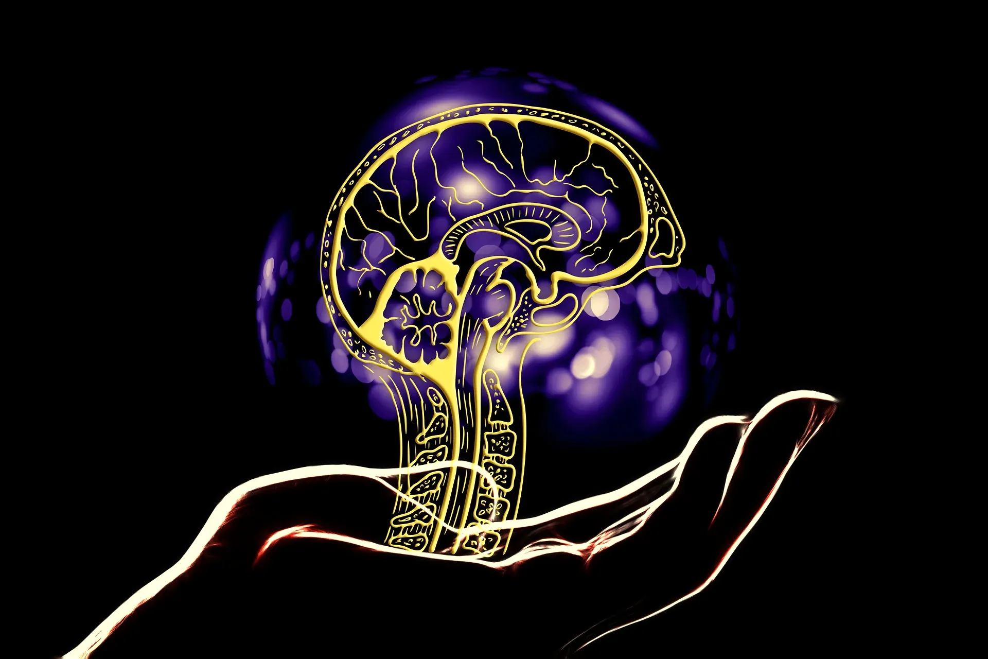 من العرض التجريبي إلى النشر: Telex من WordPress يبني مواقع فعلية عبر 'برمجة الإحساس'، بينما يربط مهايئ MCP WordPress بـ Claude و Copilot