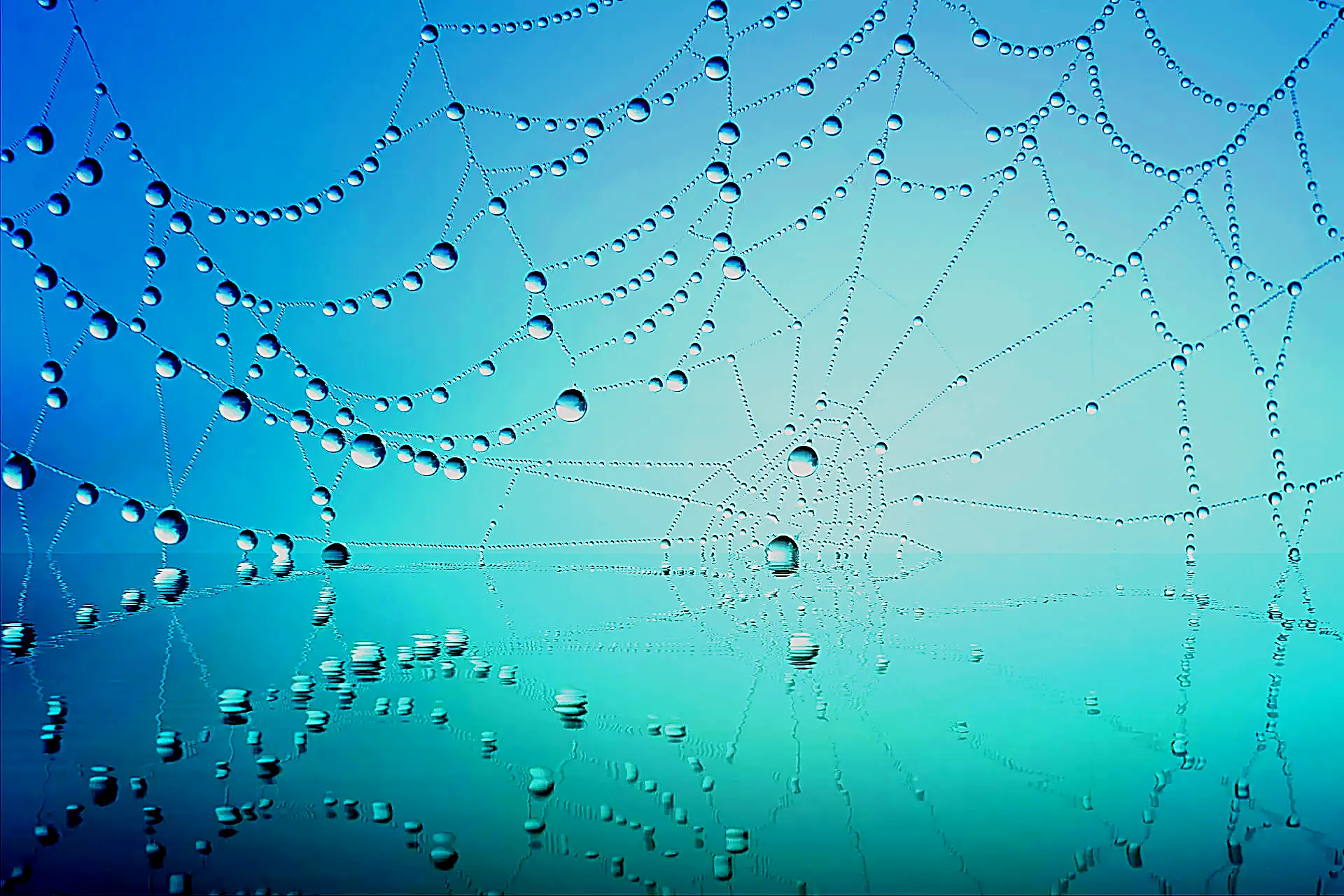 Understanding Machine Learning: The Basics