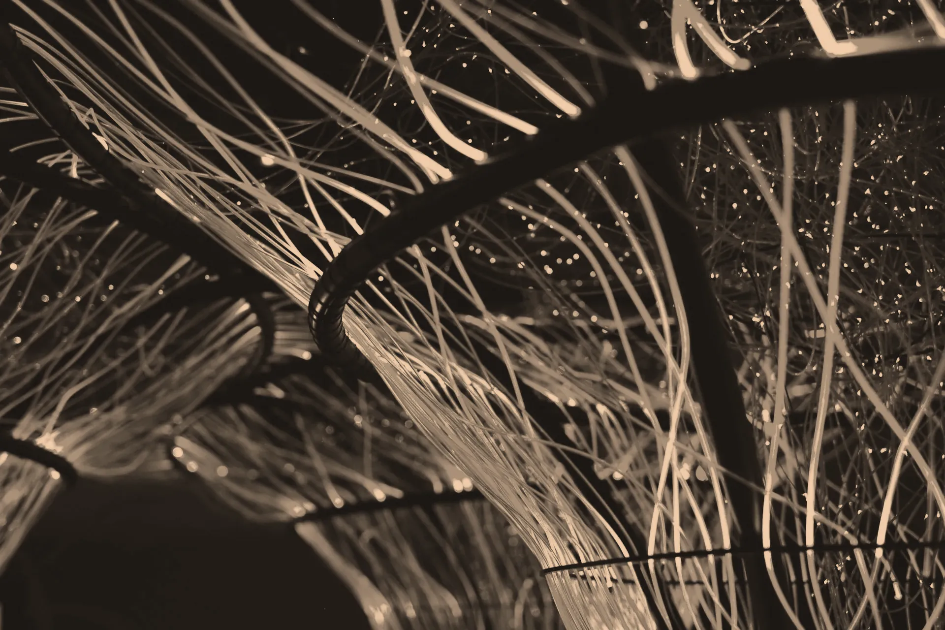 Ellis AI and the case for human-in-the-loop finance